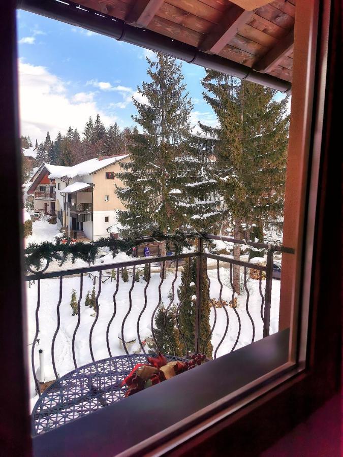 Zlatiborske Noci * Zlatibor